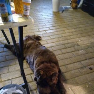 Meet your Posher, Tanya